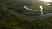 Brazil gold miners invade remote reserve in the Amazon; kill a tribal leader