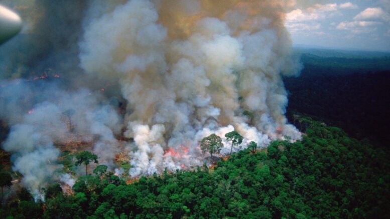 Brazil: Smoke from Amazon rainforest fires causes blackout in Sao Paulo