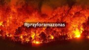 Bolsonaro suggests green groups started the blaze in the Amazon to blame him