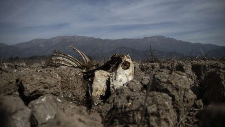 Chile declares agricultural emergency as extreme drought hits Santiago and outskirts