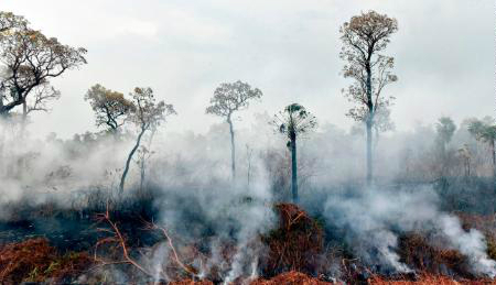 Bolivia wildfires torch 2 million hectares since August