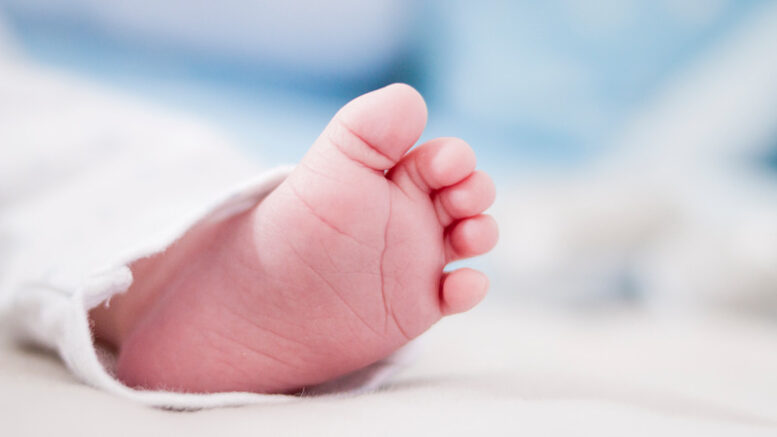 COVID-19 baby boom? This new study suggests perhaps not