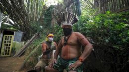 Desperate efforts to save indigenous people from Amazon rainforest tribes