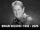brain wilson