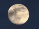 full moon